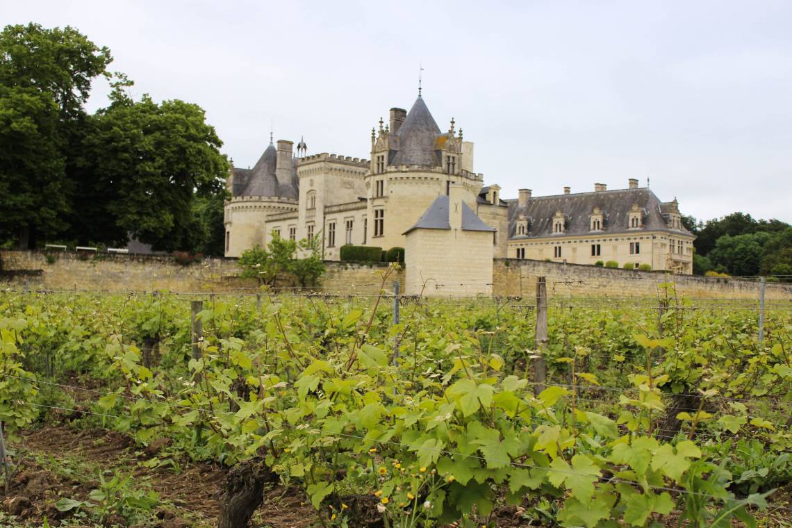 Kasteel en wijngaard Loire